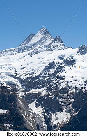 Stock Image - View of the Schreckhorn, Grindelwald, Switzerland, Europe. Fotosearch