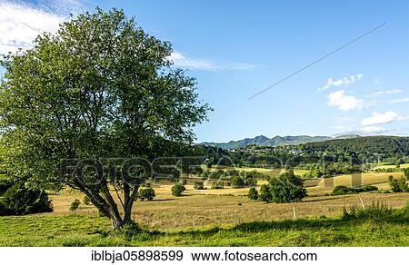 Stock Photo - Village of Picherande, Auvergne volcanoes natural park, Puy-de-Dome department, Auvergne-Rhone-Alpes, France, Europe. Fotosearch