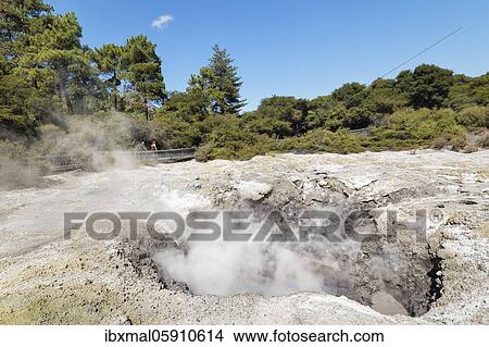 Wai-O-Tapu Thermal Wonderland, Oceania, Rotorua, Bay of Plenty, North Island, New Zealand, Oceania View Large Photo Image Picture - Wai-O-Tapu Thermal Wonderland, Oceania, Rotorua, Bay of Plenty, North Island, New Zealand, Oceania. Fotosearch