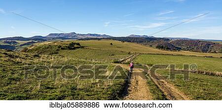 Stock Photograph - Walker and the Sancy massif at back, Sancy massif, Auvergne Volcanoes Natural Park, Puy de Dome department, Auvergne-Rhone-Alpes, France, Europe. Fotosearch