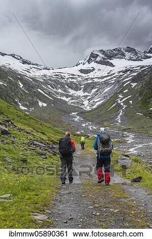 Wanderer im Tal bei schlechtem Wetter, Gletscher, Schlegeiskees, Schnee bedeckte Berggipfel, Hoher Weiszint, Berliner Höhenweg, Zillertal, Tirol, Österreich View Large Photo Image Stock Image - Wanderer im Tal bei schlechtem Wetter, Gletscher, Schlegeiskees, Schnee bedeckte Berggipfel, Hoher Weiszint, Berliner Höhenweg, Zillertal, Tirol, Österreich. Fotosearch