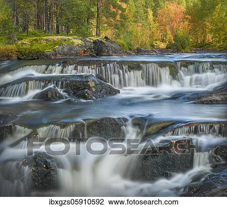 Stock Image - Waterfall in autumnal forest, Ulvsvåg, Nordland, Norway, Europe. Fotosearch