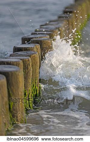 Wave hitting a groyne, Fischland, Fischland-Darß-Zingst, Baltic Sea, Mecklenburg-Western Pomerania, Germany, Europe View Large Photo Image Stock Photograph - Wave hitting a groyne, Fischland, Fischland-Darß-Zingst, Baltic Sea, Mecklenburg-Western Pomerania, Germany, Europe. Fotosearch