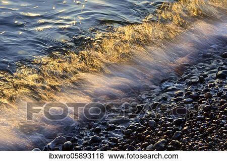 Waves and spray on the beach at sunrise, wave movements at the foot of the chalk cliffs, Baltic Sea, Saßnitz, Rügen, Jasmund National Park, Mecklenburg-Vorpommern, Germany, Europe View Large Photo Image Stock Photo - Waves and spray on the beach at sunrise, wave movements at the foot of the chalk cliffs, Baltic Sea, Saßnitz, Rügen, Jasmund National Park, Mecklenburg-Vorpommern, Germany, Europe. Fotosearch
