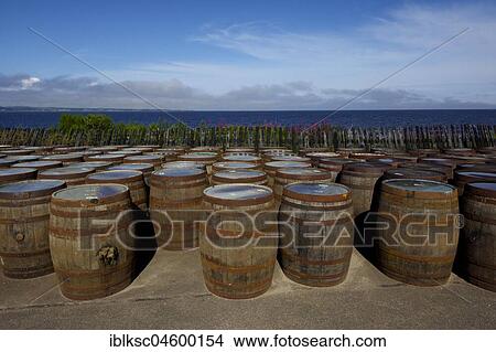 Whiskey barrels of the Glenfiddich distillery, Speyside, Scotland View Large Photo Image Picture - Whiskey barrels of the Glenfiddich distillery, Speyside, Scotland. Fotosearch
