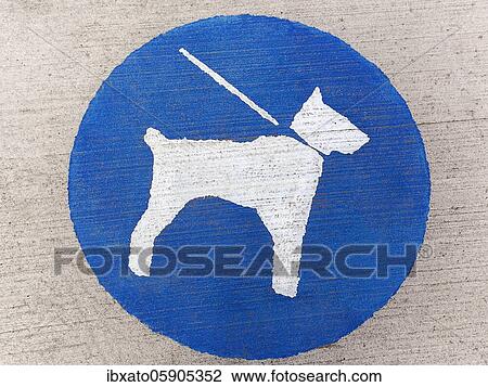 Stock Image - White dog on a leash on a blue background, pictogram on the ground promoting consideration at the dike, Elbe Cycle Route, Lüneburg District, Lower Saxony, Germany, Europe. Fotosearch