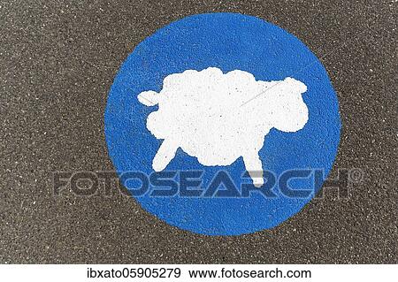 Stock Photo - White sheep on a blue background, has priority, pictogram on the ground advertises consideration on the dyke, Elbe Cycle Route, Lüneburg District, Lower Saxony, Germany, Europe. Fotosearch
