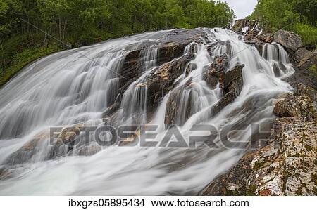 Picture - Wide waterfall in the forest, Nordland, Norway, Europe. Fotosearch