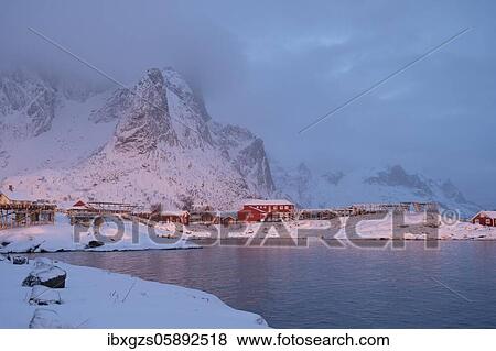 Winter atmosphere early in the morning in a fishing village, stockfish racks, snowfall in the mountains, Reine, Nordland, Lofoten, Norway, Europe View Large Photo Image Stock Photo - Winter atmosphere early in the morning in a fishing village, stockfish racks, snowfall in the mountains, Reine, Nordland, Lofoten, Norway, Europe. Fotosearch