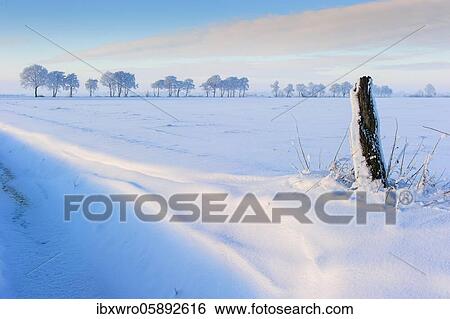 Winter day in the snowy Feldmark, Vechta, Lower Saxony, Germany, Europe View Large Photo Image Stock Photograph - Winter day in the snowy Feldmark, Vechta, Lower Saxony, Germany, Europe. Fotosearch
