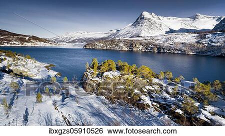Stock Photograph - Winter fjord landscape, snowy mountains, arctic vegetation, Gildeskål, Nordland, Norway, Europe. Fotosearch