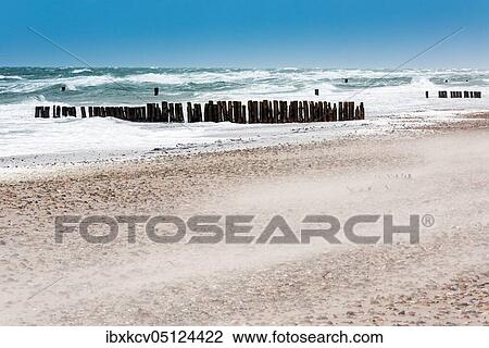 Winter storm at the Baltic Sea, groynes in the surf, blowing sand on the beach, near Graal-Müritz, Mecklenburg-Western Pomerania, Germany, Europe View Large Photo Image Stock Image - Winter storm at the Baltic Sea, groynes in the surf, blowing sand on the beach, near Graal-Müritz, Mecklenburg-Western Pomerania, Germany, Europe. Fotosearch