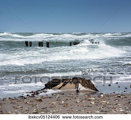 Winter storm at the Baltic Sea, old groyne in the surf, near Graal-Müritz, Mecklenburg-Vorpommern, Germany, Europe View Large Photo Image Stock Photograph - Winter storm at the Baltic Sea, old groyne in the surf, near Graal-Müritz, Mecklenburg-Vorpommern, Germany, Europe. Fotosearch