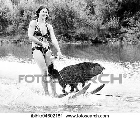 Woman with dog rides water ski, England, Great Britain View Large Photo Image Stock Image - Woman with dog rides water ski, England, Great Britain. Fotosearch