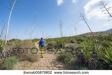 Stock Image - Young man on his way through agaves, Playa de Los Genoveses, Cabo de Gata-Nijar National Park, Almería, Spain, Europe. Fotosearch