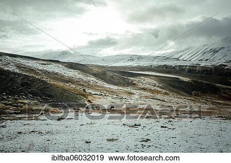 A horse grazing on a plateau in the Walkhan Corridor, Badakhshan, Afghanistan in the morning after the first autumn snowfall View Large Photo Image Stock Photo - A horse grazing on a plateau in the Walkhan Corridor, Badakhshan, Afghanistan in the morning after the first autumn snowfall. Fotosearch