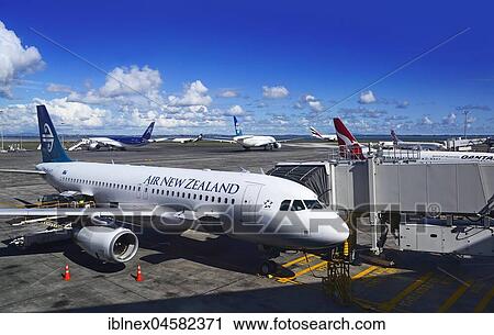 Aircraft Air New Zealand on taxiway, airport, Auckland, New Zealand, Oceania View Large Photo Image Stock Image - Aircraft Air New Zealand on taxiway, airport, Auckland, New Zealand, Oceania. Fotosearch