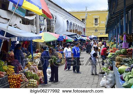 Alley with stalls at the market, Otavalo, Imbabura Province, Ecuador, South America View Large Photo Image Stock Image - Alley with stalls at the market, Otavalo, Imbabura Province, Ecuador, South America. Fotosearch