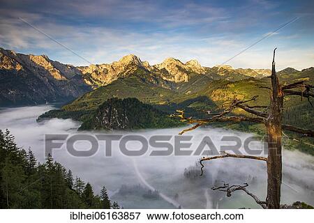 Stock Photo - Almsee im Nebel, Totes Gebirge, Almtal, Salzkammergut, Upper Austria, Austria, Europe. Fotosearch