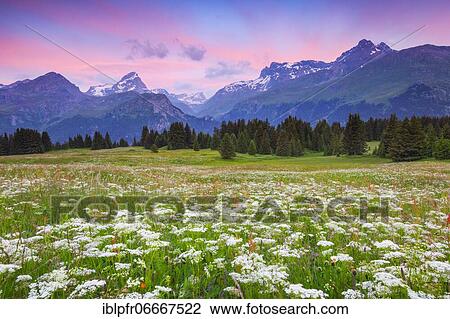 Alp Flix, Switzerland, Europe View Large Photo Image Stock Image - Alp Flix, Switzerland, Europe. Fotosearch