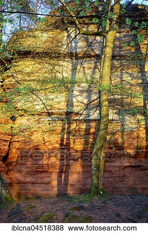 Stock Photo - Altschlossfelsen, sandstone, Eppenbrunn, Rhineland-Palatinate, Germany, Europe. Fotosearch
