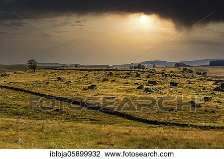 Aubrac plateau, Aubrac, Lozere department, France, Europe View Large Photo Image Stock Image - Aubrac plateau, Aubrac, Lozere department, France, Europe. Fotosearch