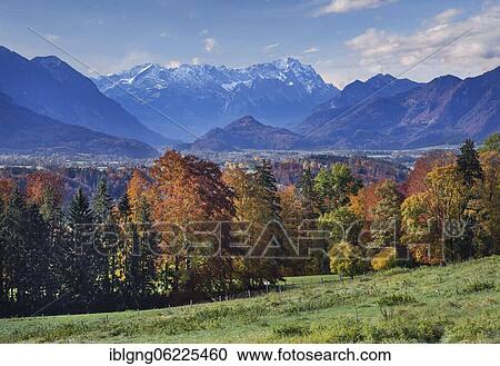 Autumn landscape above the Murnauer moss with Zugspitze group near Hagen, district of Murnau, The Blue Land, Upper Bavaria, Bavaria, Germany, Europe View Large Photo Image Stock Image - Autumn landscape above the Murnauer moss with Zugspitze group near Hagen, district of Murnau, The Blue Land, Upper Bavaria, Bavaria, Germany, Europe. Fotosearch