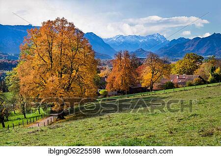 Stock Photo - Autumn landscape above the Murnauer moss with Zugspitze group near Hagen, district of Murnau, The Blue Land, Upper Bavaria, Bavaria, Germany, Europe. Fotosearch