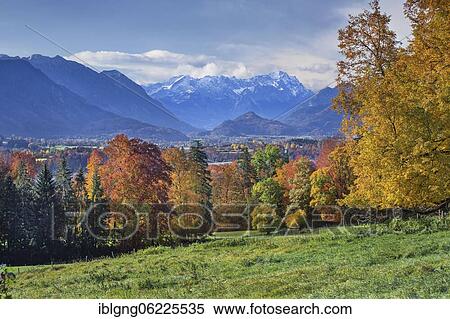 Autumn landscape above the Murnauer moss with Zugspitze group near Hagen, district of Murnau, The Blue Land, Upper Bavaria, Bavaria, Germany, Europe View Large Photo Image Stock Photography - Autumn landscape above the Murnauer moss with Zugspitze group near Hagen, district of Murnau, The Blue Land, Upper Bavaria, Bavaria, Germany, Europe. Fotosearch