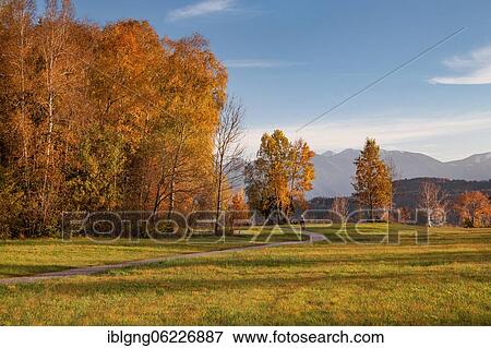 Autumn landscape at Staffelsee, Uffing am Staffelsee, The Blue Land, Upper Bavaria, Bavaria, Germany, Europe View Large Photo Image Stock Photo - Autumn landscape at Staffelsee, Uffing am Staffelsee, The Blue Land, Upper Bavaria, Bavaria, Germany, Europe. Fotosearch