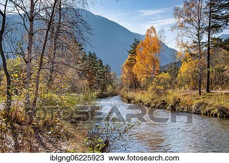 Autumn landscape at the Ammer, Oberammergau, Ammertal, Ammergau Alps, Upper Bavaria, Bavaria, Germany, Europe View Large Photo Image Stock Image - Autumn landscape at the Ammer, Oberammergau, Ammertal, Ammergau Alps, Upper Bavaria, Bavaria, Germany, Europe. Fotosearch