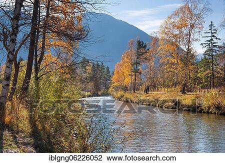 Stock Image - Autumn landscape at the Ammer, Oberammergau, Ammertal, Ammergau Alps, Upper Bavaria, Bavaria, Germany, Europe. Fotosearch