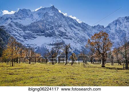 Autumn landscape in Rißtal with Spritzkarspitze, Großer Ahornboden, Engalpe, Eng, Hinterriß municipality, Karwendel Mountains, Karwendel Alpine Park, Tyrol, Austria, Europe View Large Photo Image Stock Photo - Autumn landscape in Rißtal with Spritzkarspitze, Großer Ahornboden, Engalpe, Eng, Hinterriß municipality, Karwendel Mountains, Karwendel Alpine Park, Tyrol, Austria, Europe. Fotosearch