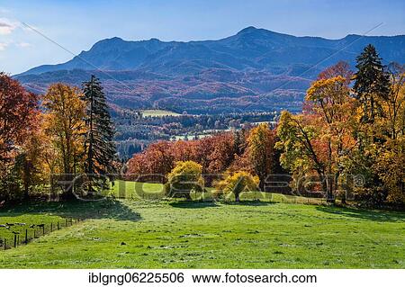 Stock Photograph - Autumn landscape near Guglhör with Herzogstand and Heimgarten, Murnau, The Blue Land, Upper Bavaria, Bavaria, Germany, Europe. Fotosearch