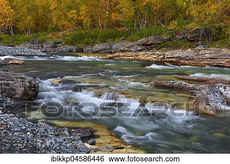 Stock Photograph - Autumn Landscape on the Abiskojakka River, Abisko National Park, Sweden, Europe. Fotosearch