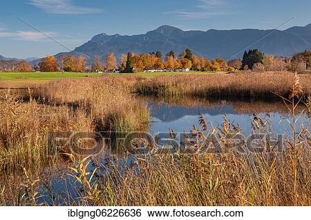 Stock Photograph - Autumn landscape on the river Ach with Herzogstand and Heimgarten, Uffing am Staffelsee, The Blue Land, Upper Bavaria, Bavaria, Germany, Europe. Fotosearch