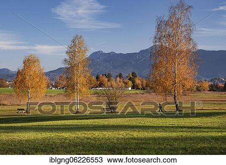 Stock Image - Autumn landscape with Herzogstand and Heimgarten, Uffing am Staffelsee, The Blue Land, Upper Bavaria, Bavaria, Germany, Europe. Fotosearch