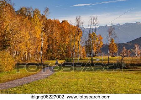 Autumn landscape with hiking trail at Staffelsee, Uffing am Staffelsee, The Blue Land, Upper Bavaria, Bavaria, Germany, Europe View Large Photo Image Stock Image - Autumn landscape with hiking trail at Staffelsee, Uffing am Staffelsee, The Blue Land, Upper Bavaria, Bavaria, Germany, Europe. Fotosearch