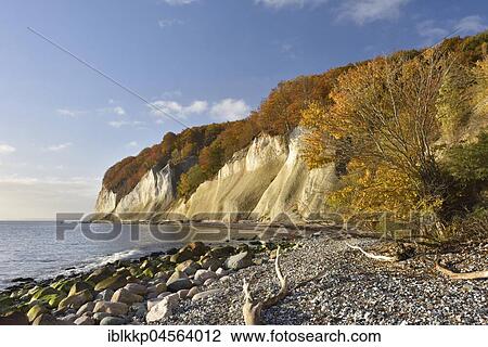 Autumn on the chalk coast, National Park Jasmund, Island of Rügen, Mecklenburg-Western Pomerania, Germany, Europe View Large Photo Image Stock Image - Autumn on the chalk coast, National Park Jasmund, Island of Rügen, Mecklenburg-Western Pomerania, Germany, Europe. Fotosearch