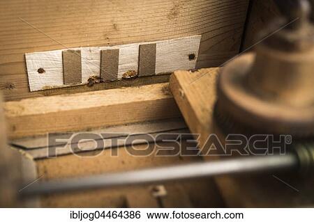 Stock Photograph - Barrel organ, bellows, plywood, vents, covered with leather pieces and strips of cardboard, valves for suction and exhaustion of air, Grassau, Upper Bavaria, Bavaria, Germany, Europe. Fotosearch