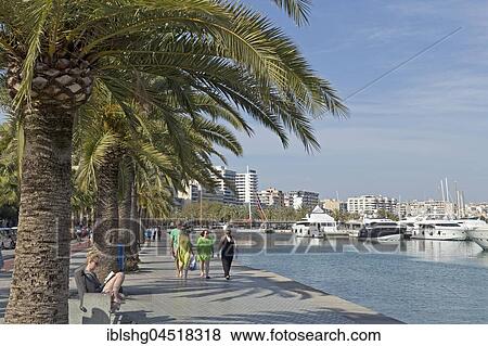 Beach promenade, Yachthafen, Palma de Majorca, Majorca, Spain, Europe View Large Photo Image Stock Photo - Beach promenade, Yachthafen, Palma de Majorca, Majorca, Spain, Europe. Fotosearch