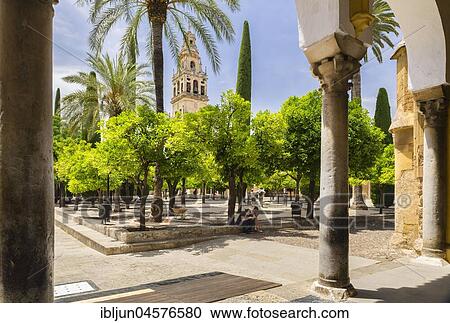 Bell tower, Patio de Naranjos, Mezquita, Catedral de Córdoba, Cordoba, Andalusia, Spain, Europe View Large Photo Image Stock Image - Bell tower, Patio de Naranjos, Mezquita, Catedral de Córdoba, Cordoba, Andalusia, Spain, Europe. Fotosearch