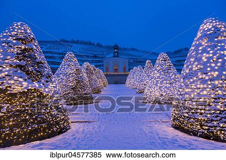 Belvedere Pavilion in winter in front of vineyards, with Christmas lights, Weingut Schloss Wackerbarth, Radebeul, Saxony, Germany, Europe *** IMPORTANT: Only editorial use and for flyers, postcards or calendars representing the region. *** View Large Photo Image Stock Photography - Belvedere Pavilion in winter in front of vineyards, with Christmas lights, Weingut Schloss Wackerbarth, Radebeul, Saxony, Germany, Europe *** IMPORTANT: Only editorial use and for flyers, postcards or calendars representing the region. ***. Fotosearch