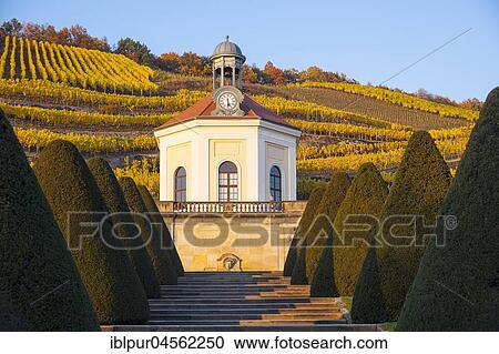 Belvedere with park, Wackerbarth Castle, in the back vineyards in autumn, Radebeul, Saxony, Germany, Europe *** IMPORTANT: Only editorial use and for flyers, postcards or calendars representing the region. *** View Large Photo Image Stock Image - Belvedere with park, Wackerbarth Castle, in the back vineyards in autumn, Radebeul, Saxony, Germany, Europe *** IMPORTANT: Only editorial use and for flyers, postcards or calendars representing the region. ***. Fotosearch