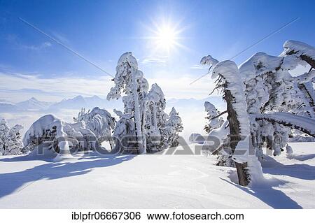 Bernese Alps, view from Niederhorn, Switzerland, Europe View Large Photo Image Stock Photograph - Bernese Alps, view from Niederhorn, Switzerland, Europe. Fotosearch