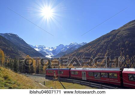 Stock Image - Bernina Express runs through larch forest in autumn, behind Morteratsch Glacier, Canton Graubünden, Switzerland, Europe. Fotosearch