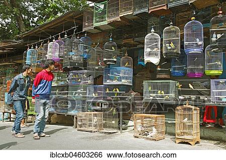 Stock Photograph - Bird market Pasar Senggol, Malang, Java, Indonesia, Asia. Fotosearch