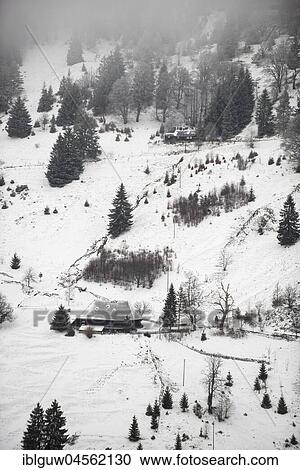 Stock Image - Black Forest Farm in winter, Hofsgrund, Schauinsland, Black Forest, Baden-Württemberg, Germany, Europe. Fotosearch