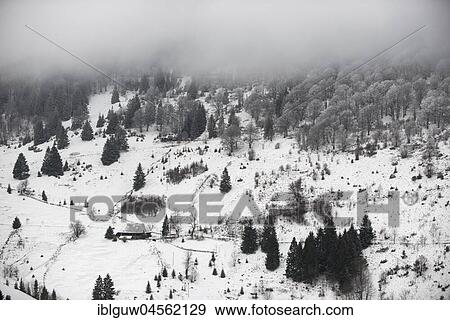 Stock Photo - Black Forest Farm in winter, Hofsgrund, Schauinsland, Black Forest, Baden-Württemberg, Germany, Europe. Fotosearch