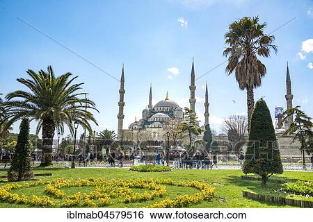 Blue Mosque, Sultan Ahmet Camii, Flowers in Sultan Ahmed Park, Sultanahmet, European part, Istanbul, Turkey, Asia View Large Photo Image Stock Photograph - Blue Mosque, Sultan Ahmet Camii, Flowers in Sultan Ahmed Park, Sultanahmet, European part, Istanbul, Turkey, Asia. Fotosearch